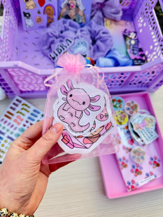 🌸✨ Stickers Bag – Woreczek z Naklejkami ✨🌸 Box Różowy 🌸