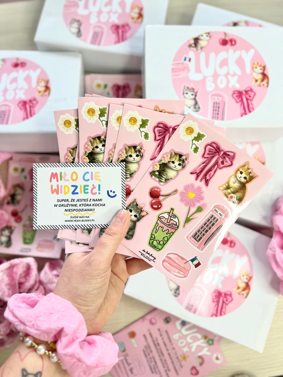 LUCKY BOX 🐈 Mystery Box - Sweet Kittens 2025
