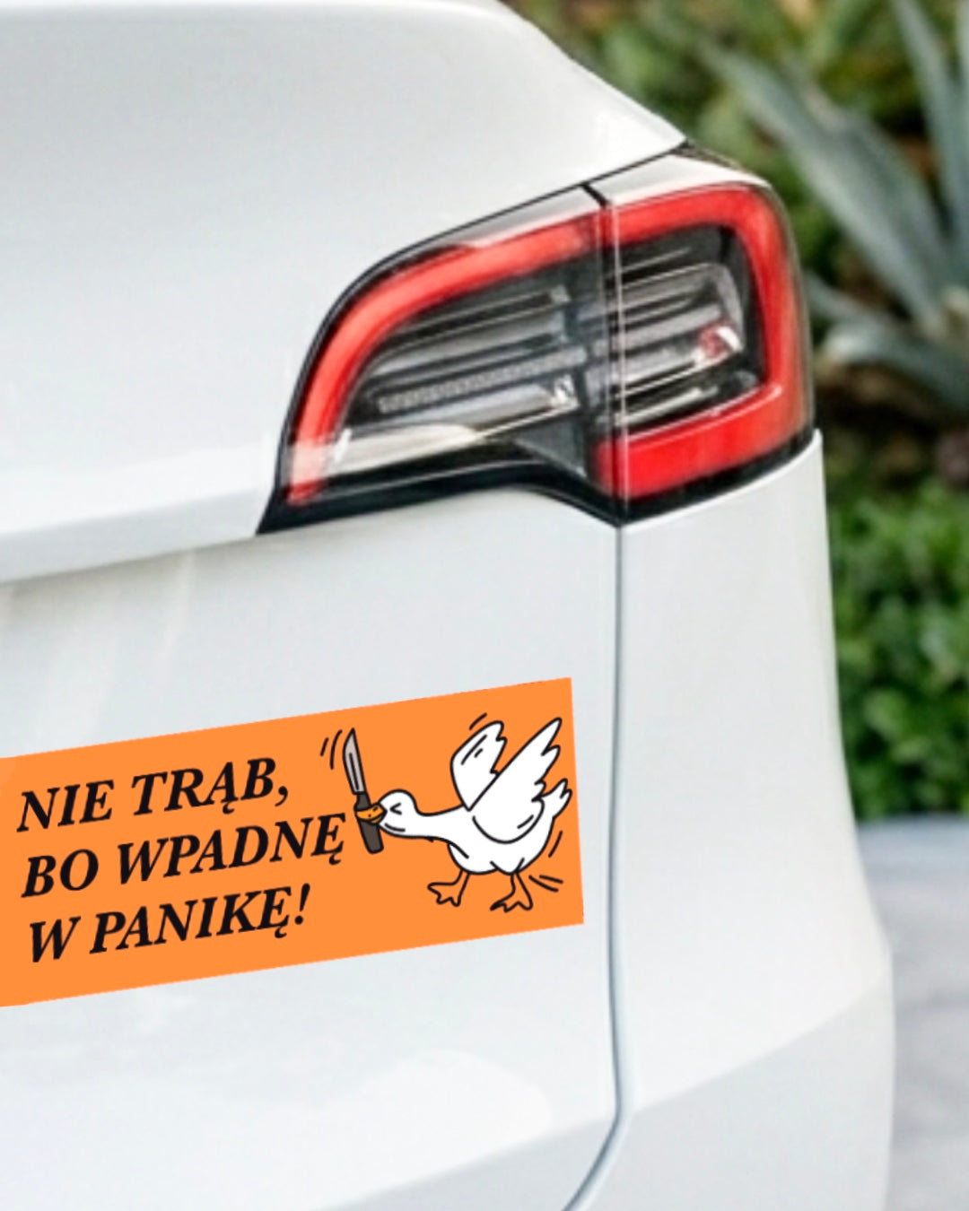 Naklejka na samochód - GĄSKA - NIE TRĄB