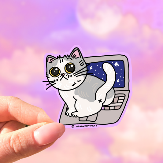 Naklejka kotek na Laptopie