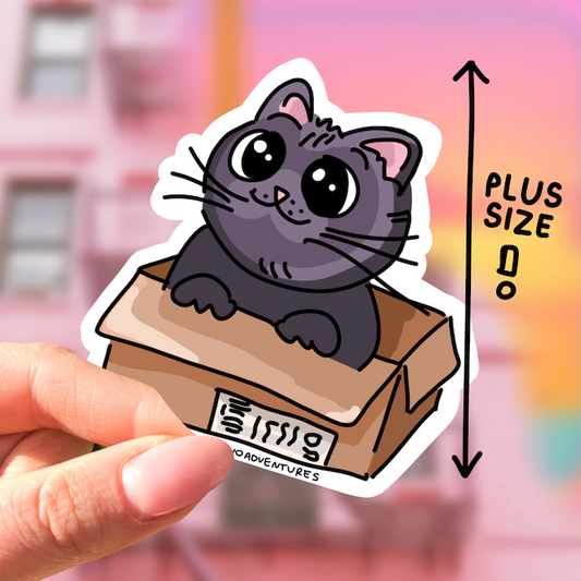 Naklejka kotek kiciuś w pudełku